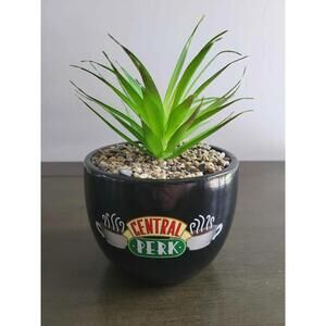 Friends Central Perk ceramic planter with an artificial succulent